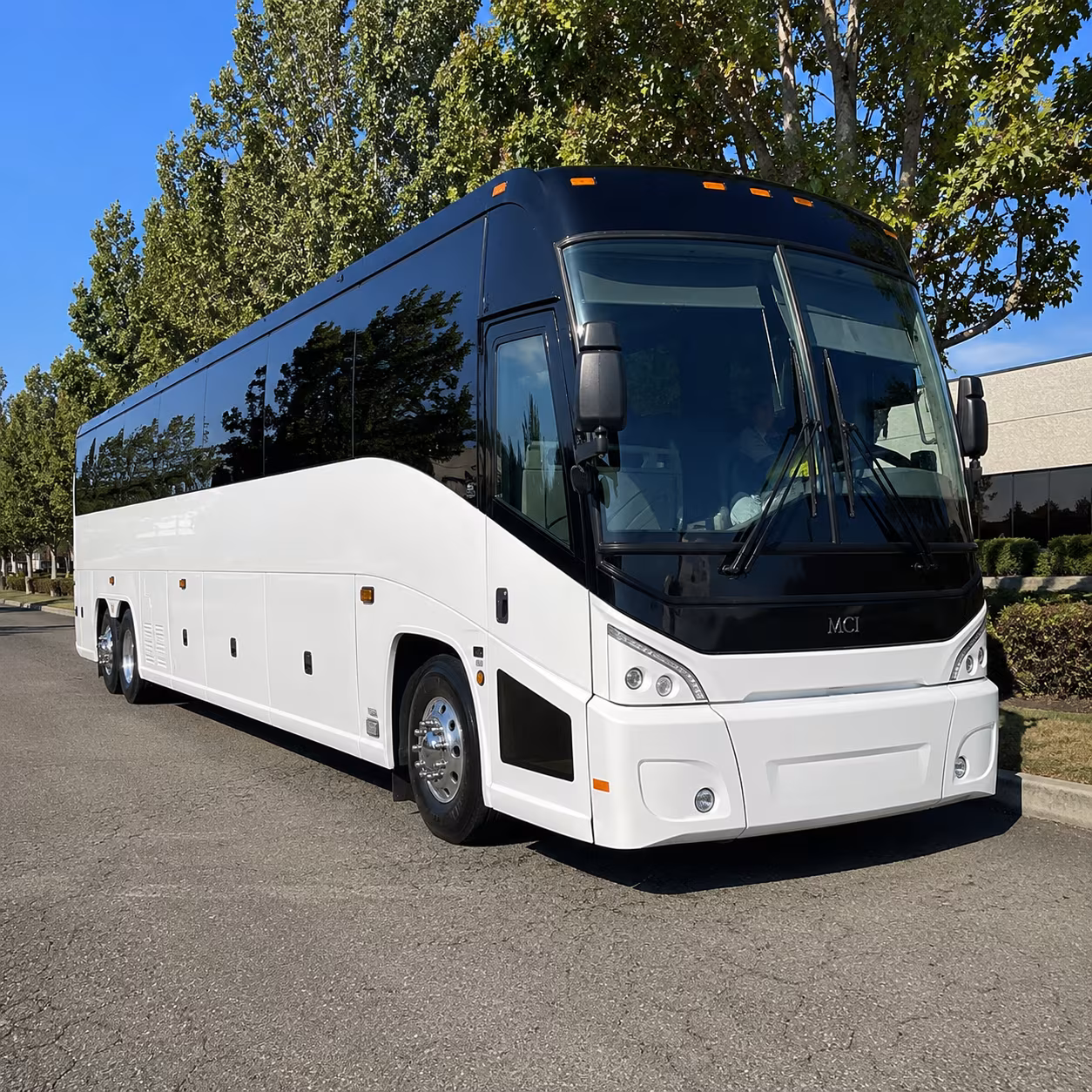 56 passenger charter bus